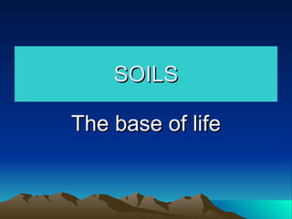 SOILS The base of life 