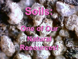 Soils:
One of Our
Natural
Resources!
 