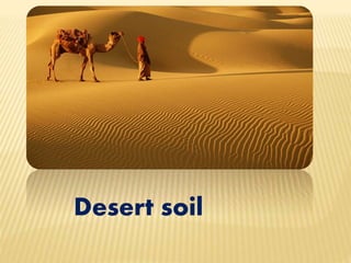 Desert soil
 