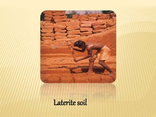 Laterite soil
 