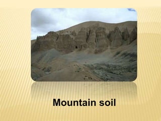 Mountain soil
 