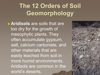The 12 Orders of Soil
Geomorphology
 Aridisols are soils that are
too dry for the growth of
mesophytic plants. They
often accumulate gypsum,
salt, calcium carbonate, and
other materials that are
easily leached from soil in
more humid environments.
Aridisols are common in the
world’s deserts.
 