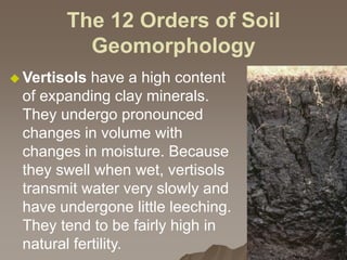 The 12 Orders of Soil
Geomorphology
 Vertisols have a high content
of expanding clay minerals.
They undergo pronounced
changes in volume with
changes in moisture. Because
they swell when wet, vertisols
transmit water very slowly and
have undergone little leeching.
They tend to be fairly high in
natural fertility.
 