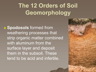 The 12 Orders of Soil
Geomorphology
 Spodosols formed from
weathering processes that
strip organic matter combined
with aluminum from the
surface layer and deposit
them in the subsoil. These
tend to be acid and infertile.
 