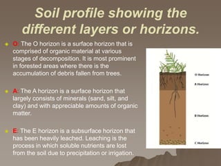  O: The O horizon is a surface horizon that is
comprised of organic material at various
stages of decomposition. It is most prominent
in forested areas where there is the
accumulation of debris fallen from trees.
 A: The A horizon is a surface horizon that
largely consists of minerals (sand, silt, and
clay) and with appreciable amounts of organic
matter.
 E: The E horizon is a subsurface horizon that
has been heavily leached. Leaching is the
process in which soluble nutrients are lost
from the soil due to precipitation or irrigation.
Soil profile showing the
different layers or horizons.
 