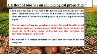 Biochar for Enhancing Soil Fertility and Crop Productivity: Methods ...
