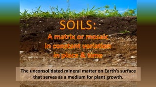 The unconsolidated mineral matter on Earth’s surface
that serves as a medium for plant growth.
 