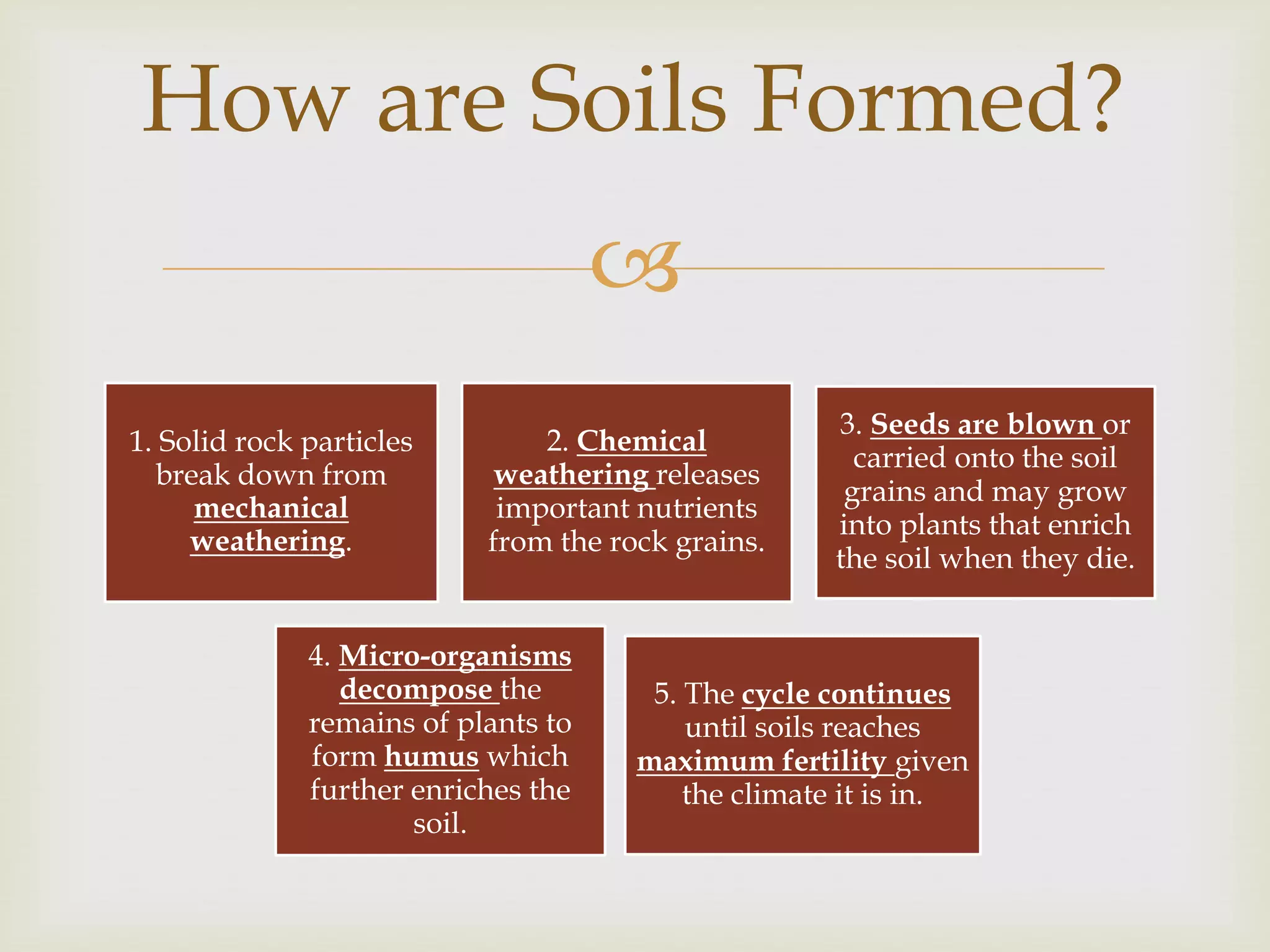 How are Soils Formed?

1. Solid rock particles
break down from
mechanical
weathering.

2. Chemical
weathering releases
important nutrients
from the rock grains.

4. Micro-organisms
decompose the
remains of plants to
form humus which
further enriches the
soil.

3. Seeds are blown or
carried onto the soil
grains and may grow
into plants that enrich
the soil when they die.

5. The cycle continues
until soils reaches
maximum fertility given
the climate it is in.

 