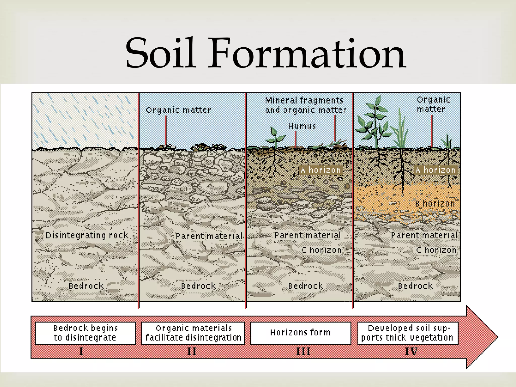 Soil Formation

 
