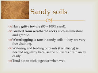 Sandy soils

 Have gritty texture (85 – 100% sand).
 Formed from weathered rocks such as limestone
and granite.
 Waterlogging is rare in sandy soils – they are very
free draining.
 Watering and feeding of plants (fertilising) is
needed regularly because the nutrients drain away
easily.
 Tend not to stick together when wet.

 