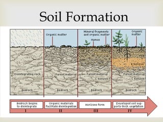 Soil Formation

 