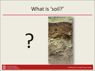 What is ‘soil?’

?
Northern NY Field Crops Team

 