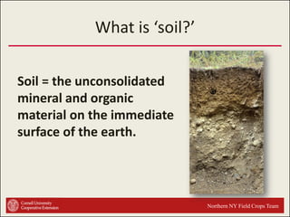 What is ‘soil?’
Soil = the unconsolidated
mineral and organic
material on the immediate
surface of the earth.

Northern NY Field Crops Team

 