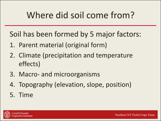 Where did soil come from?
Soil has been formed by 5 major factors:
1. Parent material (original form)
2. Climate (precipitation and temperature
effects)
3. Macro- and microorganisms
4. Topography (elevation, slope, position)
5. Time
Northern NY Field Crops Team

 