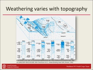 Weathering varies with topography

From Smith, et al, Soil, in AccessScience@McGraw-Hill, http://www.accessscience.com, DOI
10.1036/1097-8542.631500; after Simonson et al., Understanding Iowa Soils, Brown, 1952

Northern NY Field Crops Team

 
