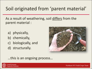 Soil originated from ‘parent material’
As a result of weathering, soil differs from the
parent material :
a)
b)
c)
d)

physically,
chemically,
biologically, and
structurally.

…this is an ongoing process…
Northern NY Field Crops Team

 