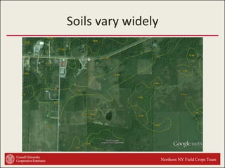 Soils vary widely

Northern NY Field Crops Team

 