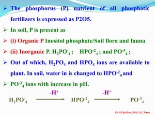 Dr.AB Jadhav, SSAC,AC, Pune
 The phosphorus (P) nutrient of all phosphatic
fertilizers is expressed as P2O5.
 In soil, P is present as
 (i) Organic P Inositol phosphate/Soil flora and fauna
 (ii) Inorganic P. H2PO-
4 ; HPO-2
4 ; and PO-3
4 ;
 Out of which, H2PO4 and HPO4 ions are available to
plant. In soil, water in is changed to HPO-2
4 and
 PO-3
4 ions with increase in pH.
-H+ -H+
H2PO-
4 HPO-2
4 PO-3
4
11
 