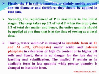 Dr.AB Jadhav, SSAC,AC, Pune
12
 Firstly, the P in soil is immobile or slightly mobile around
one cm diameter and therefore, they should be applied in
root zone.
 Secondly, the requirement of P is maximum in the initial
stages. The crop takes up 2/3 of total P when the crop gains
1/3 of total dry matter and hence, the entire quantity should
be applied at one time that is at the time of sowing as a basal
dose.
 Thirdly, water soluble-P is changed to insoluble form as Fe
and Al –PO4 (Phosphate) under acidic and calcium
phosphate in calcareous or high Ca content or in higher pH
soils and hence, there is no danger for the loss due to
leaching and volatilization. The applied P remain as in
available form in less quantity while greater quantity is
changed to insoluble form.
 