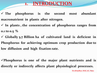 Dr.AB Jadhav, SSAC,AC, Pune
1. INTRODUCTION
 The phosphorus is the second most abundant
macronutrient in plants after nitrogen.
 In plants , the concentration of phosphorus ranges from
0.1 to 0.5 %
 Globally 5.7 Billion ha of cultivated land is deficient in
Phosphorus for achieving optimum crop production due to
low diffusion and high fixation rate.
Phosphorus is one of the major plant nutrients and is
directly or indirectly affects plant physiological processes.
2
 