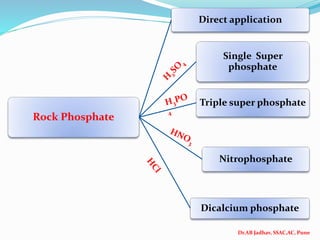 Dr.AB Jadhav, SSAC,AC, Pune
Rock Phosphate
Direct application
Single Super
phosphate
Triple super phosphate
Nitrophosphate
Dicalcium phosphate
 