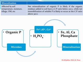 Dr.AB Jadhav, SSAC,AC, Pune
Mineralization
Affected by soil
temperature, moisture,
tillage, OM, etc
Net mineralization of organic P is likely if the organic
residues added to soil have a C/P ratio below 200:1, while net
immobilization of soluble P is likely to occur at the C:P ratio
above 300:1
• Organic P
Microbes
• H2PO4
-
Fe3+,Al3+, Ca2+
• Fe, Al, Ca
Phosphate
Mineralization
 