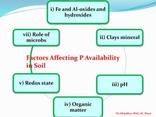Dr.AB Jadhav, SSAC,AC, Pune
i) Fe and Al-oxides and
hydroxides
ii) Clays mineral
iii) pH
iv) Organic
matter
v) Redox state
vii) Role of
microbs
Factors Affecting P Availability
in Soil
 