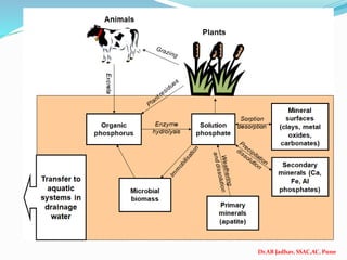Dr.AB Jadhav, SSAC,AC, Pune
 