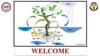 Soil-water interactions, soil water potential, free energy and thermodynamic basis of potential concept, chemical potential of soil water and entropy of the system