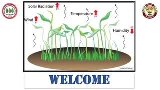 Solar and terrestrial radiation, dissipation and distribution in soil-crop systems; aerodynamic and canopy temp-based models;  infra-red thermometer; advances in soil physics