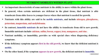 NUTRIENT MOVEMENT IN SOILS AND NUTRIENT ABSORPTION BY PLANTS | PPTX