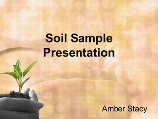 Soil Sample Presentation Amber Stacy 