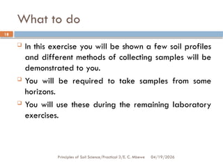 Comprehensive Guide to Soil Sampling Techniques and Laboratory Handling ...