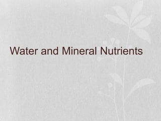 Water and mineral nutrition




• Water action helps release minerals into the soil
  solution (dissolving, freeze-thaw br...