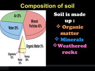Soils | PPT