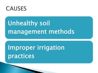 Unhealthy soil
management methods
Improper irrigation
practices
 