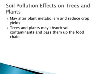  May alter plant metabolism and reduce crop
yields
 Trees and plants may absorb soil
contaminants and pass them up the food
chain
 