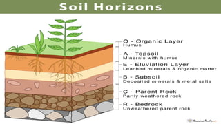SOIL SCIENCECONVERSATION FERTILITIES.pptx