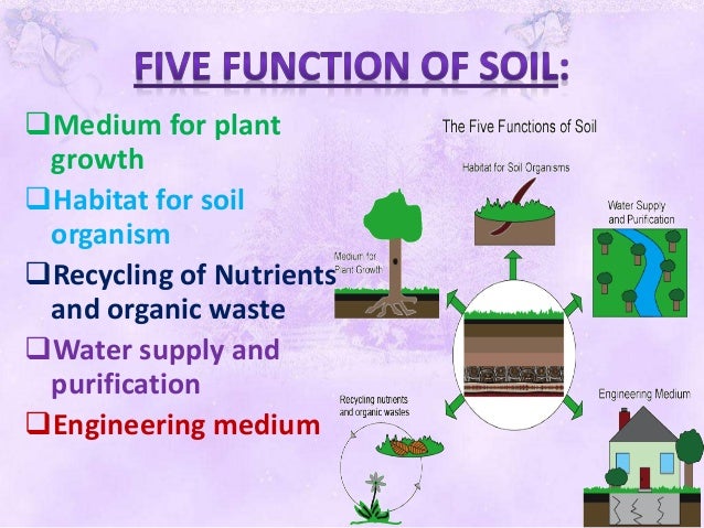 Soil science and soil defination