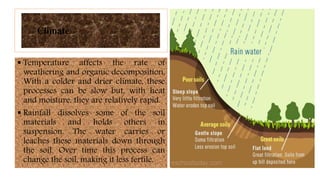 Climate
 Temperature affects the rate of
weathering and organic decomposition.
With a colder and drier climate, these
processes can be slow but, with heat
and moisture, they are relatively rapid.
 Rainfall dissolves some of the soil
materials and holds others in
suspension. The water carries or
leaches these materials down through
the soil. Over time this process can
change the soil, making it less fertile.
 