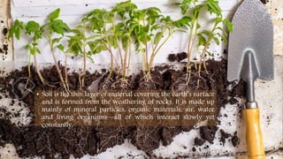 • Soil is the thin layer of material covering the earth’s surface
and is formed from the weathering of rocks. It is made up
mainly of mineral particles, organic materials, air, water
and living organisms—all of which interact slowly yet
constantly.
 