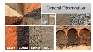 General Observation
Sandy Loamy Clay
 