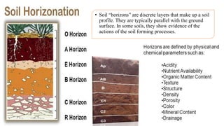 • Soil “horizons” are discrete layers that make up a soil
profile. They are typically parallel with the ground
surface. In some soils, they show evidence of the
actions of the soil forming processes.
 