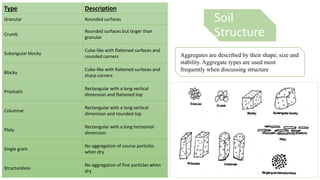 Soil
Structure
Type Description
Granular Rounded surfaces
Crumb
Rounded surfaces but larger than
granular
Subangular blocky
Cube-like with flattened surfaces and
rounded corners
Blocky
Cube-like with flattened surfaces and
sharp corners
Prismatic
Rectangular with a long vertical
dimension and flattened top
Columnar
Rectangular with a long vertical
dimension and rounded top
Platy
Rectangular with a long horizontal
dimension
Single grain
No aggregation of course particles
when dry
Structureless
No aggregation of fine particles when
dry
Aggregates are described by their shape, size and
stability. Aggregate types are used most
frequently when discussing structure
 