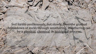 Soil forms continuously, but slowly, from the gradual
breakdown of rocks through weathering. Weathering can
be a physical, chemical or biological process:
 