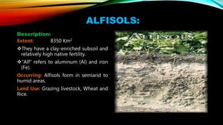 ALFISOLS:
Description:
Extent: 8350 Km2
They have a clay-enriched subsoil and
relatively high native fertility.
"Alf" refers to aluminum (Al) and iron
(Fe).
Occurring: Alfisols form in semiarid to
humid areas.
Land Use: Grazing livestock, Wheat and
Rice.
 