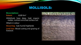 MOLLISOLS:
Description:
Extent: 6100 Km2
Mollisols have deep, high organic
matter, nutrient-enriched surface soil.
Dark in colour
Occurring: Sub-humid highlands
Land Use: Wood cutting and grazing of
livestock
 