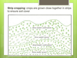  Strip cropping: crops are grown close together in strips
to ensure soil cover
 