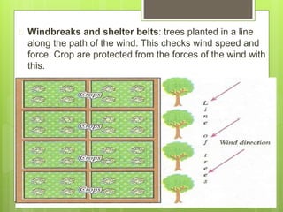  Windbreaks and shelter belts: trees planted in a line
along the path of the wind. This checks wind speed and
force. Crop are protected from the forces of the wind with
this.
 