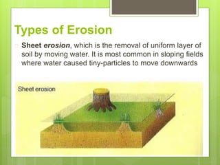 Types of Erosion
 Sheet erosion, which is the removal of uniform layer of
soil by moving water. It is most common in sloping fields
where water caused tiny-particles to move downwards
 